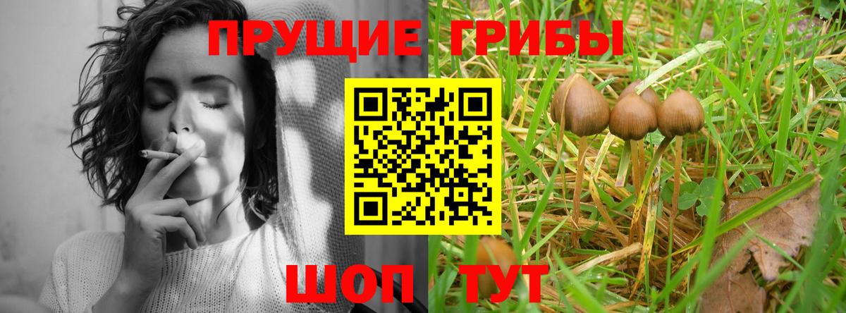 Псилоцибиновые грибы мухоморы  Вход с VPN  Абинск  Галлюциногенные грибы Psilocybine cubensis 